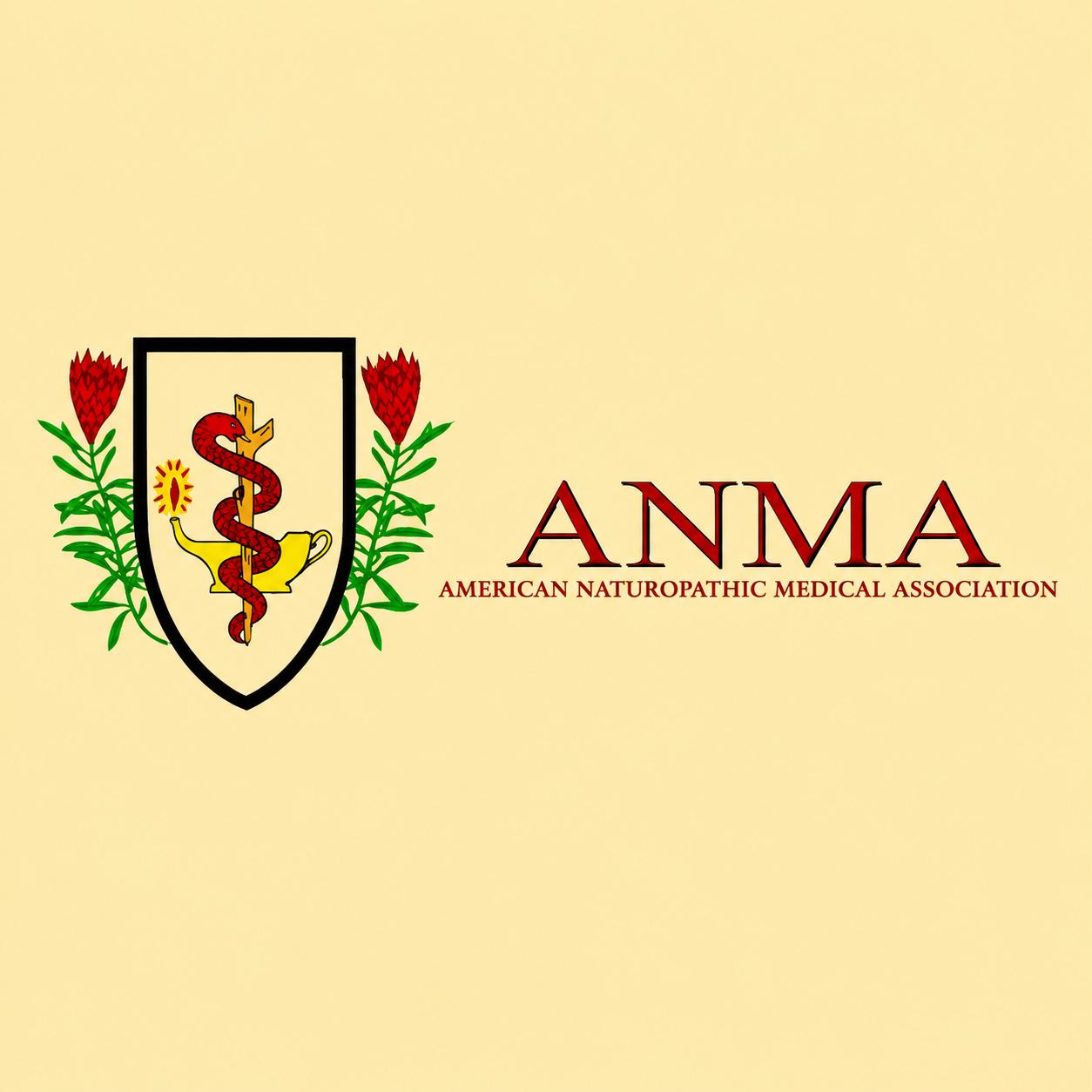 American Naturopathic Medical Association